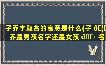 子乔字取名的寓意是什么(子 🦆 乔是男孩名字还是女孩 🕷 名字)